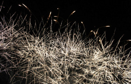 Fuochi d’Artificio a Lu e Cuccaro Monferrato per San Valerio Martire